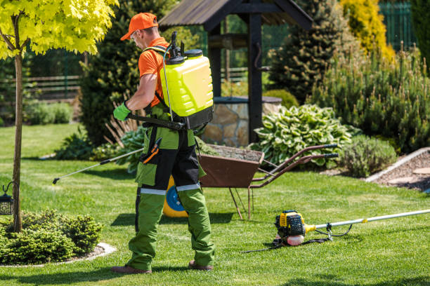 Best Fumigation Services  in Searles Valley, CA